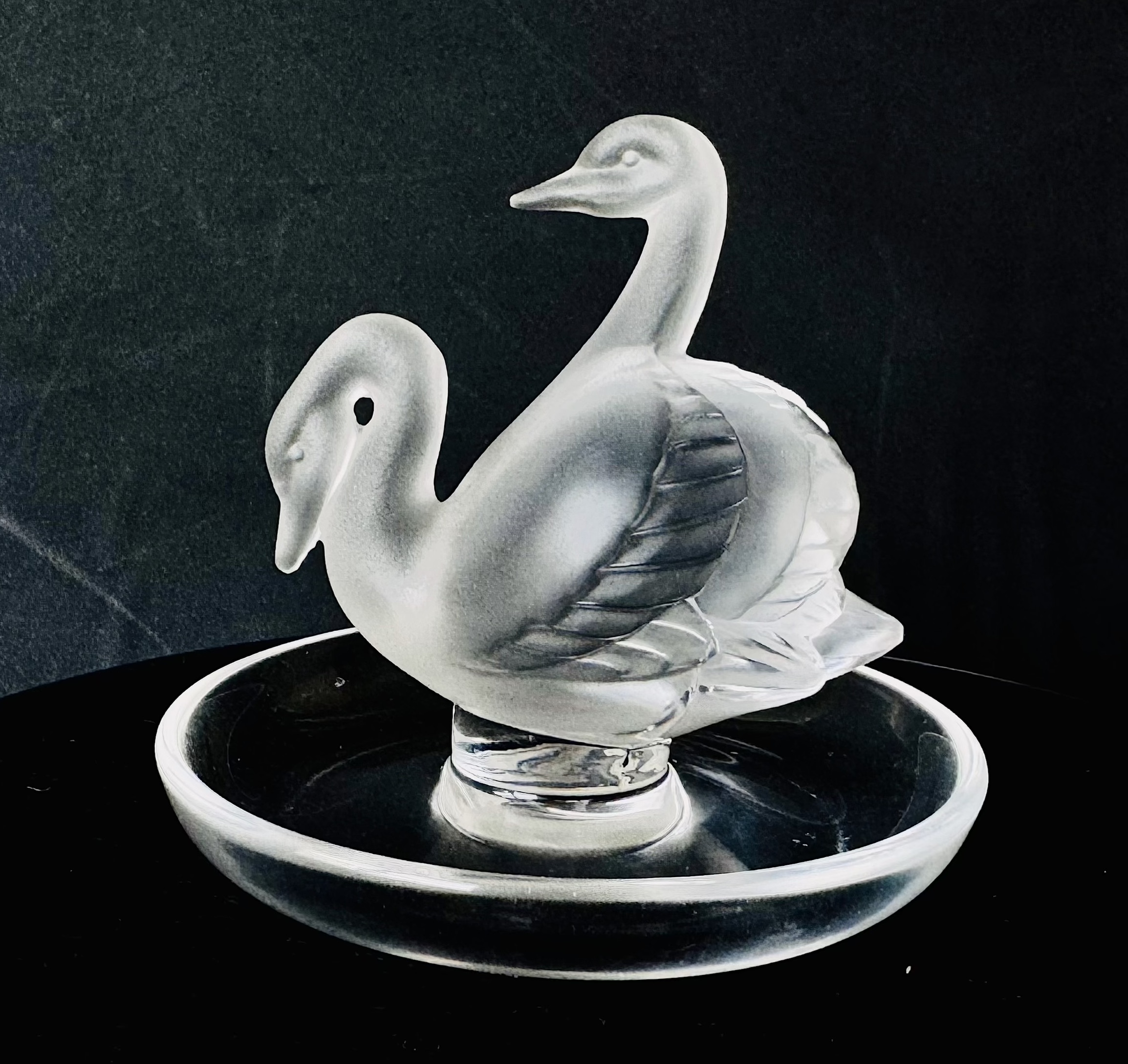 Deux Cygnes pintray l