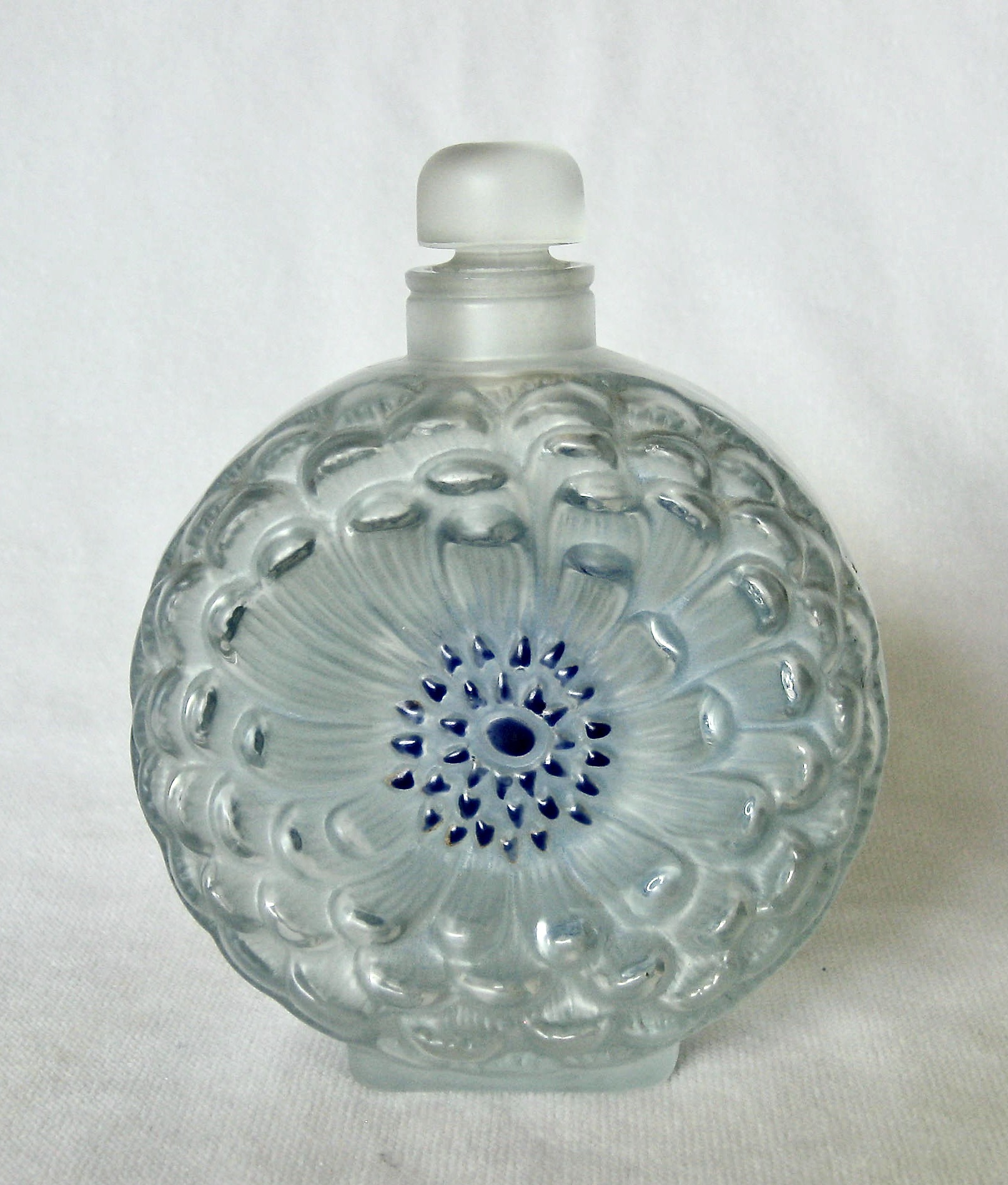 Dahlia bottle N3 b1