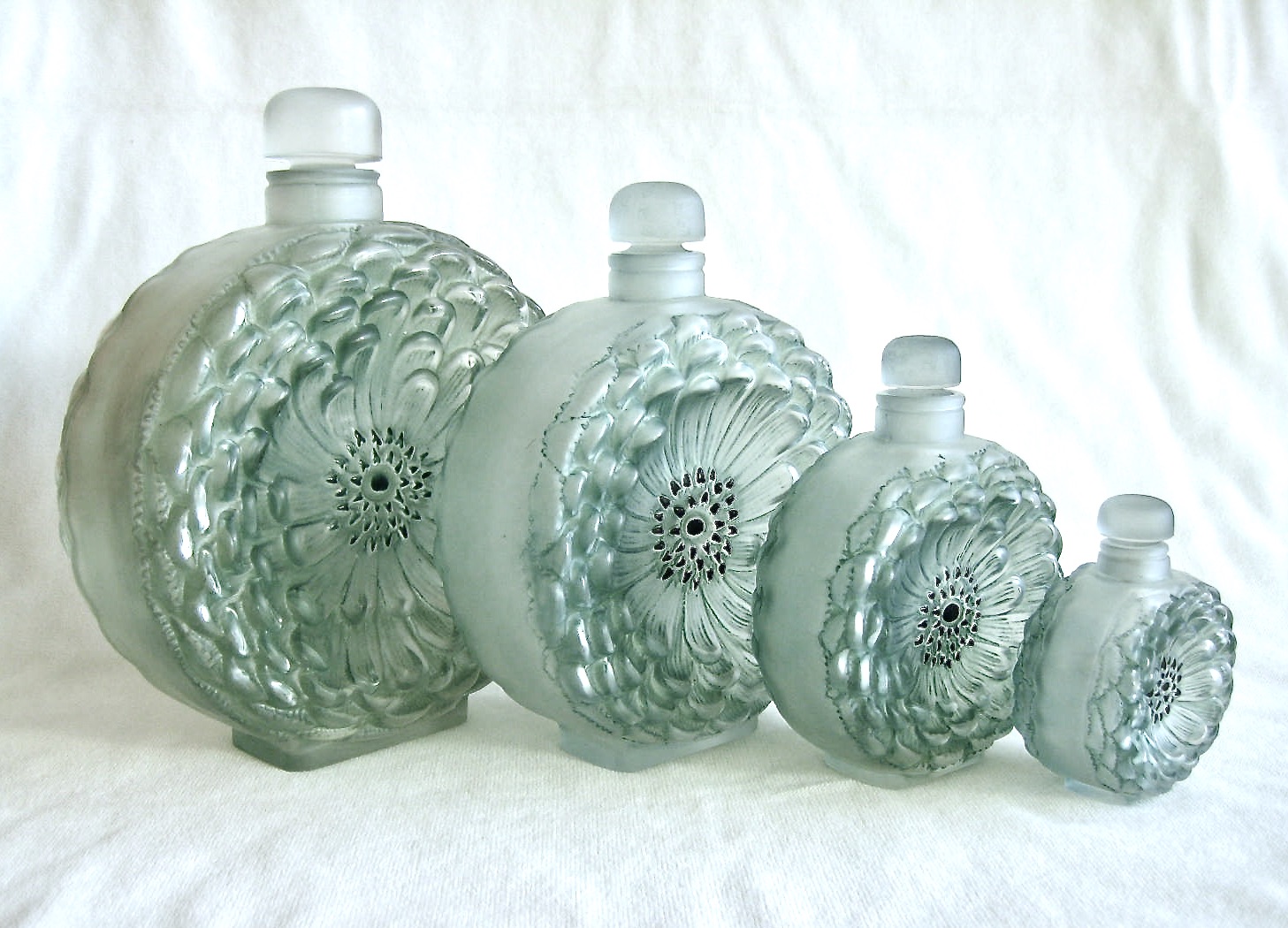 Dahlia bottles s