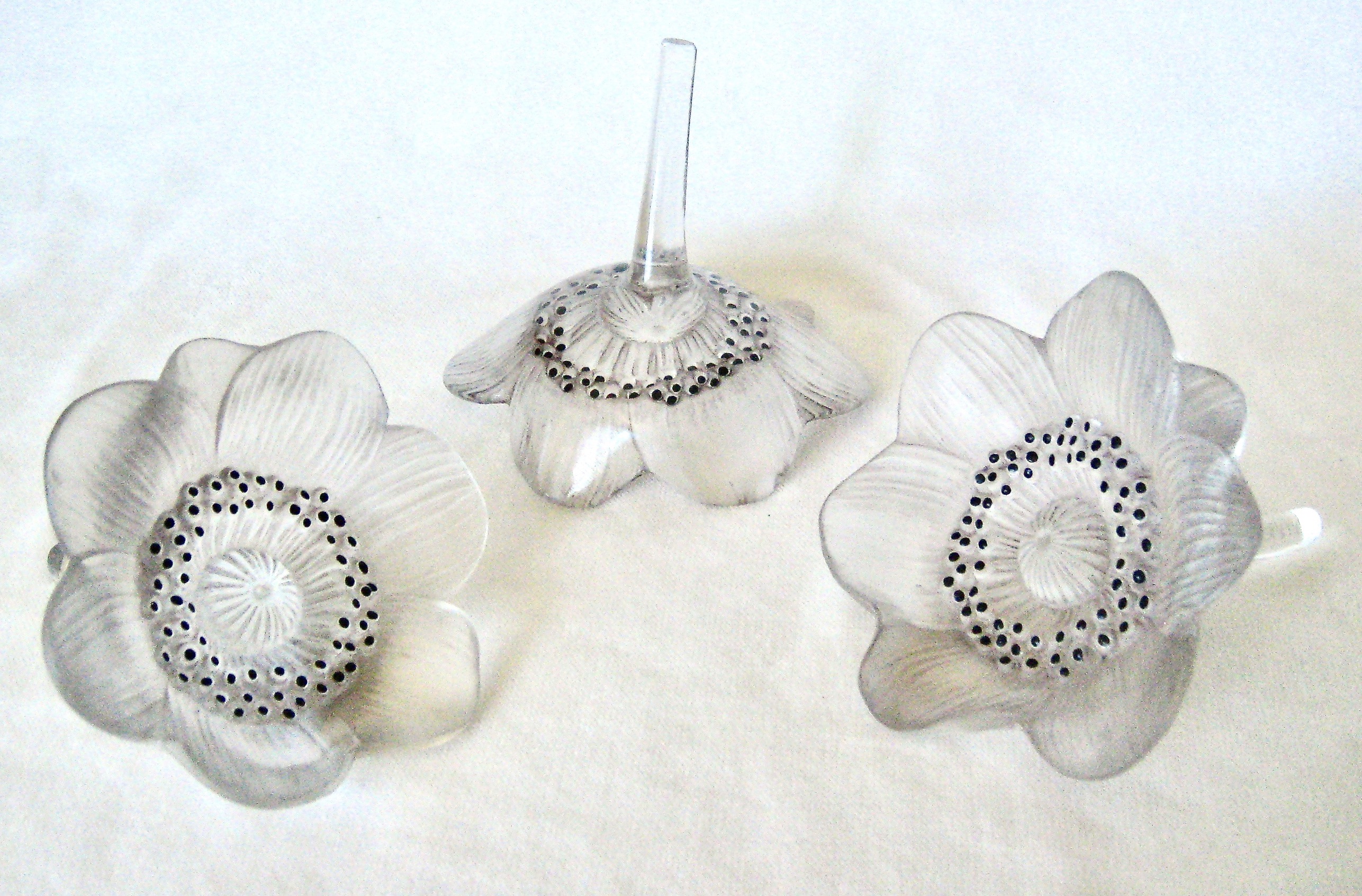Anemones 2up
