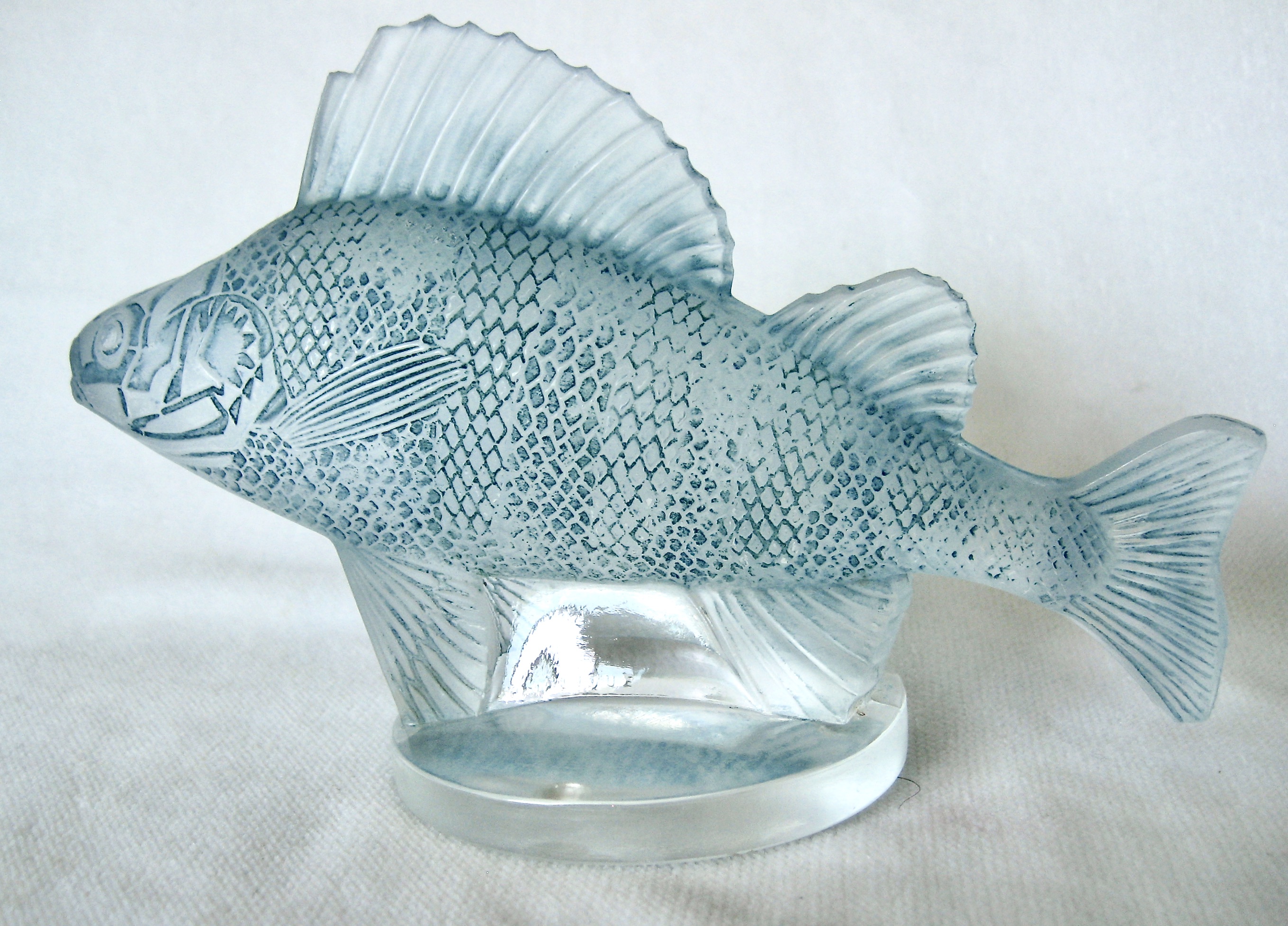 Perche blue L