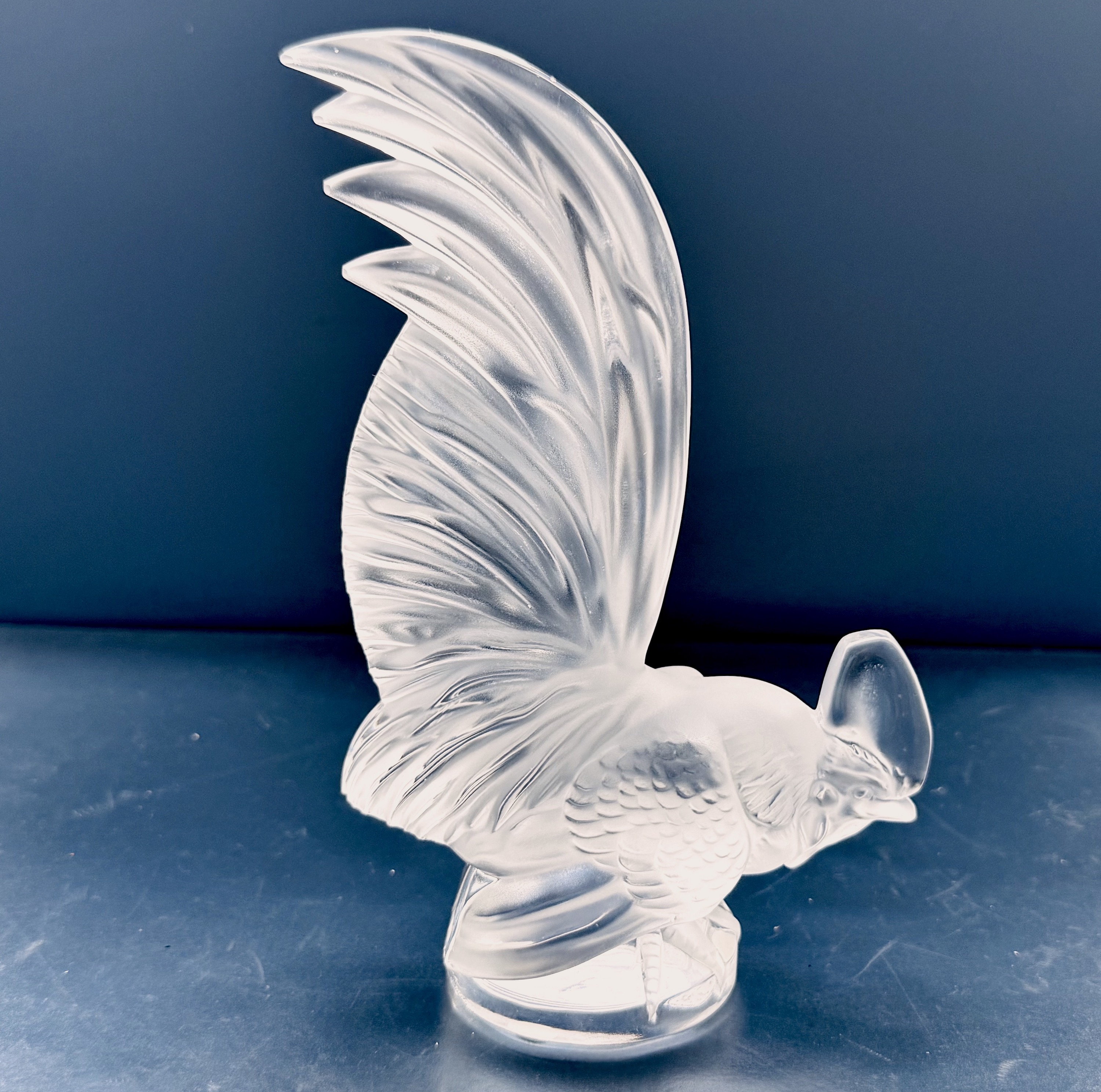 Coq Nain 1