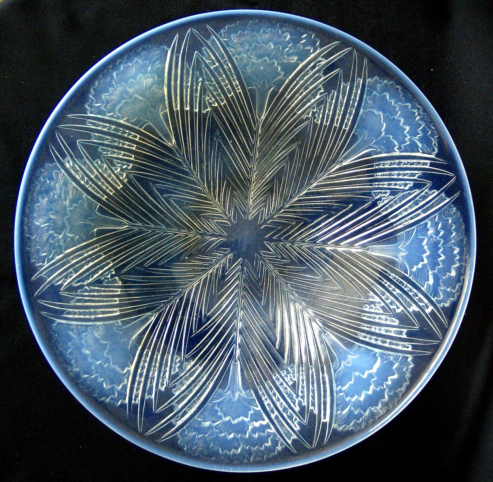 Oeillets dish b